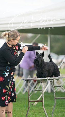 20230929-DSC05547