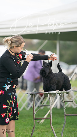20230929-DSC05548