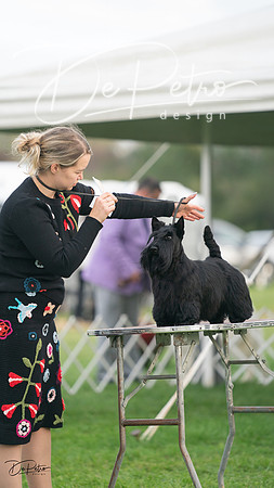 20230929-DSC05549