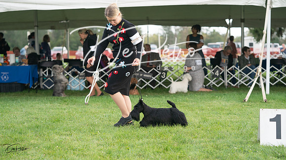 20230929-DSC05558
