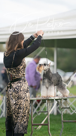 20230929-DSC05567
