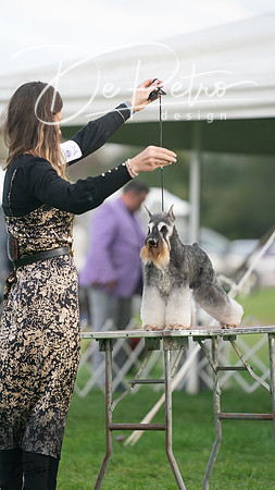 20230929-DSC05570