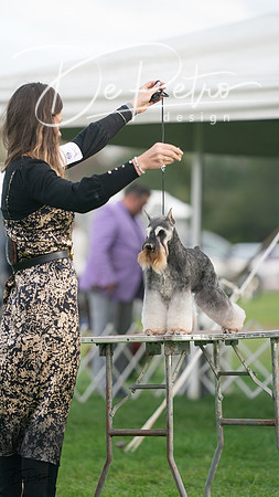 20230929-DSC05571