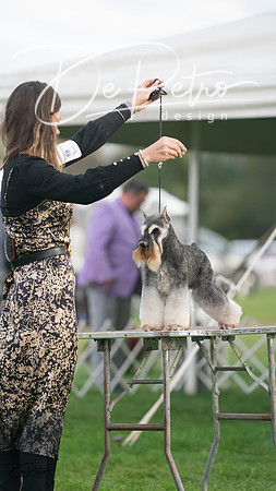 20230929-DSC05572