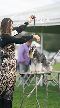 20230929-DSC05575