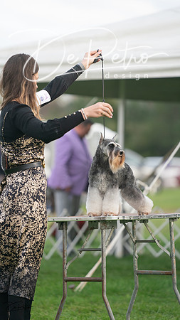 20230929-DSC05576