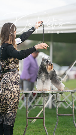 20230929-DSC05577