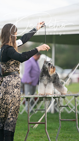 20230929-DSC05578