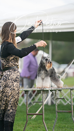 20230929-DSC05579