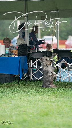 20230929-DSC05582