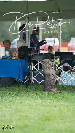 20230929-DSC05583