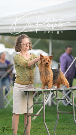 20230929-DSC05622