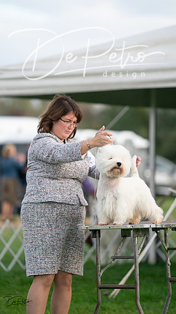 20230929-DSC05653