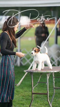 20230929-DSC05659
