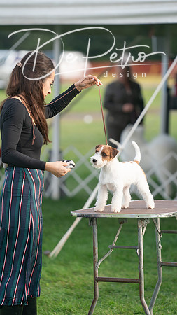 20230929-DSC05660