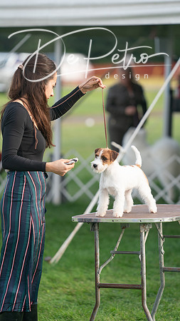 20230929-DSC05664