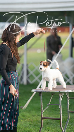 20230929-DSC05665