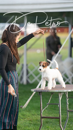 20230929-DSC05667