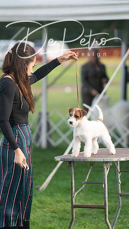 20230929-DSC05668