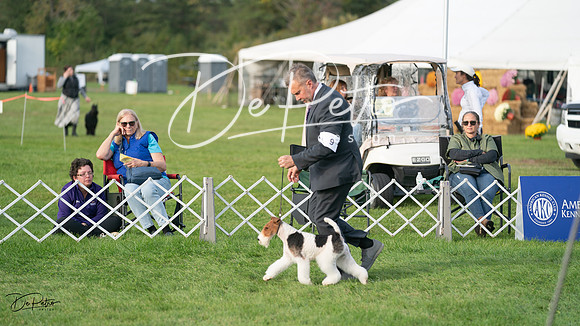 20230929-DSC05738