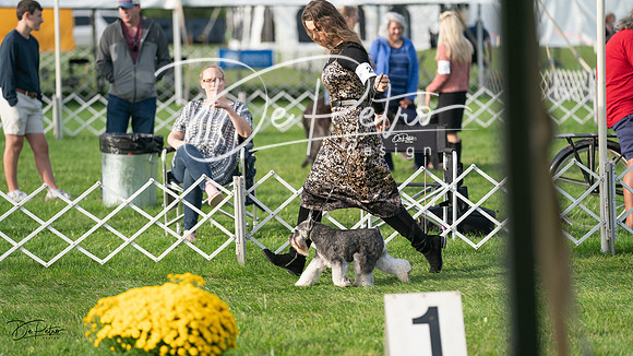 20230929-DSC05816