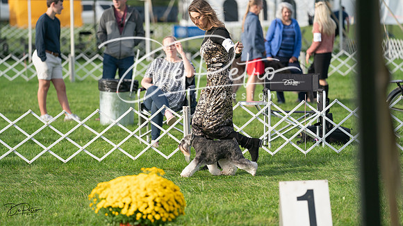 20230929-DSC05819