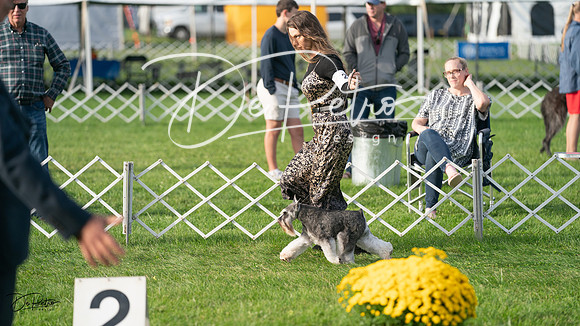 20230929-DSC05829
