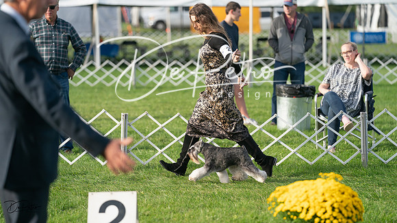 20230929-DSC05832