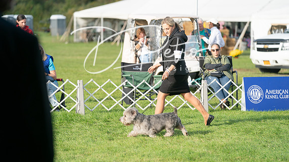 20230929-DSC05841