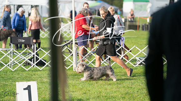 20230929-DSC05847