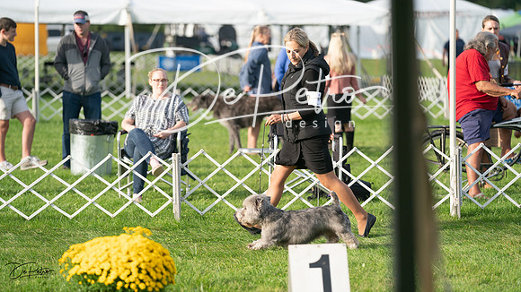 20230929-DSC05850