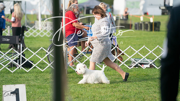 20230929-DSC05899