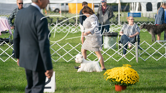 20230929-DSC05922