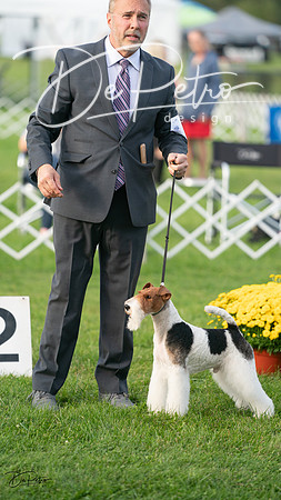 20230929-DSC05963
