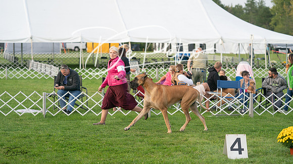 20230929-DSC05989