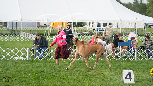 20230929-DSC05990