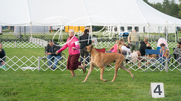 20230929-DSC05991
