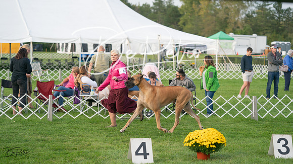 20230929-DSC05984