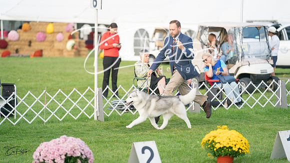 20230929-DSC06023