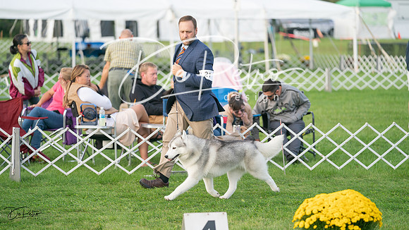 20230929-DSC06047