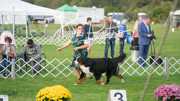 20230929-DSC06063