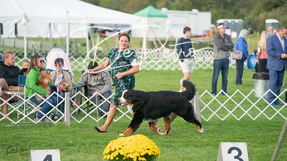 20230929-DSC06068
