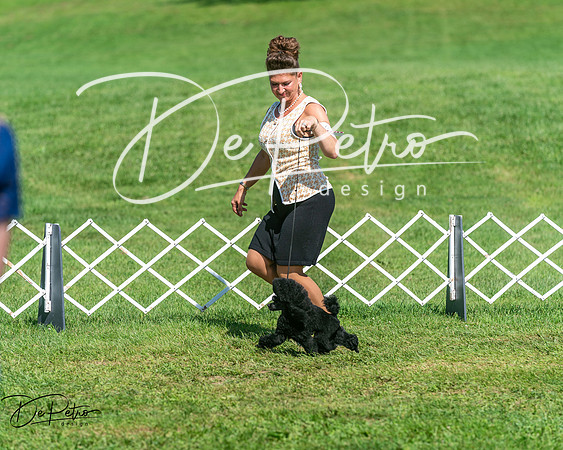 20250629-DSC01036