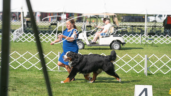 20231001-DSC07654