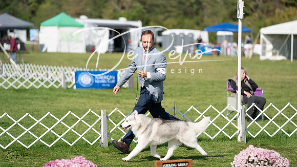 20231001-DSC07675