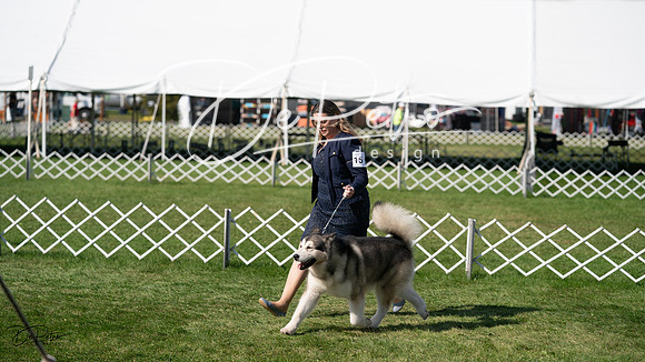 20231001-DSC07712