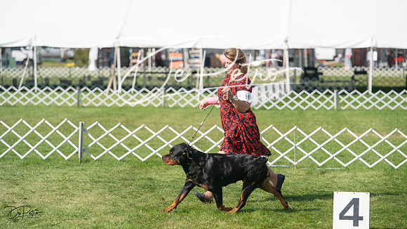 20231001-DSC07731