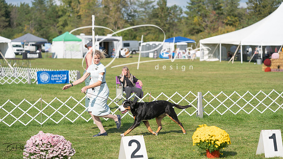 20231001-DSC07744