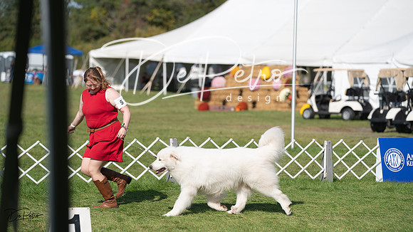 20231001-DSC07772