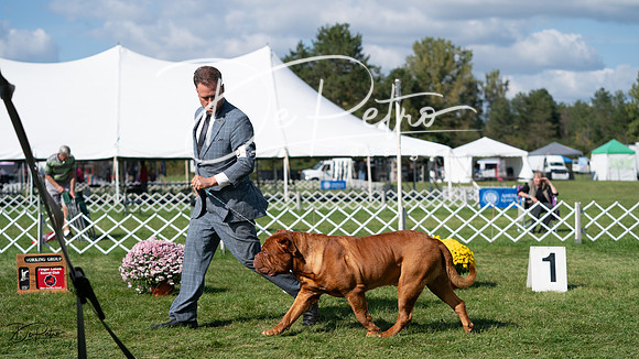 20231001-DSC07815